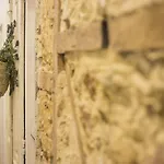 بيت ضيافة 262 Boutique