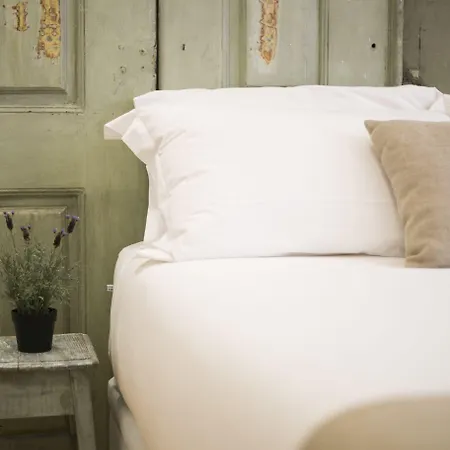 262 Boutique Hotel