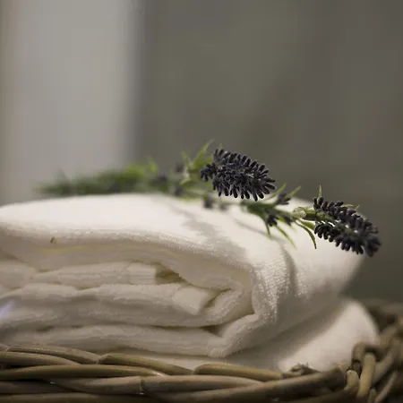 262 Boutique Hotel