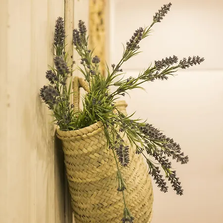 262 Boutique Hotel