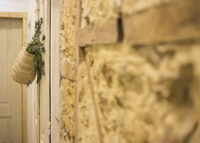 Konukevi 262 Boutique